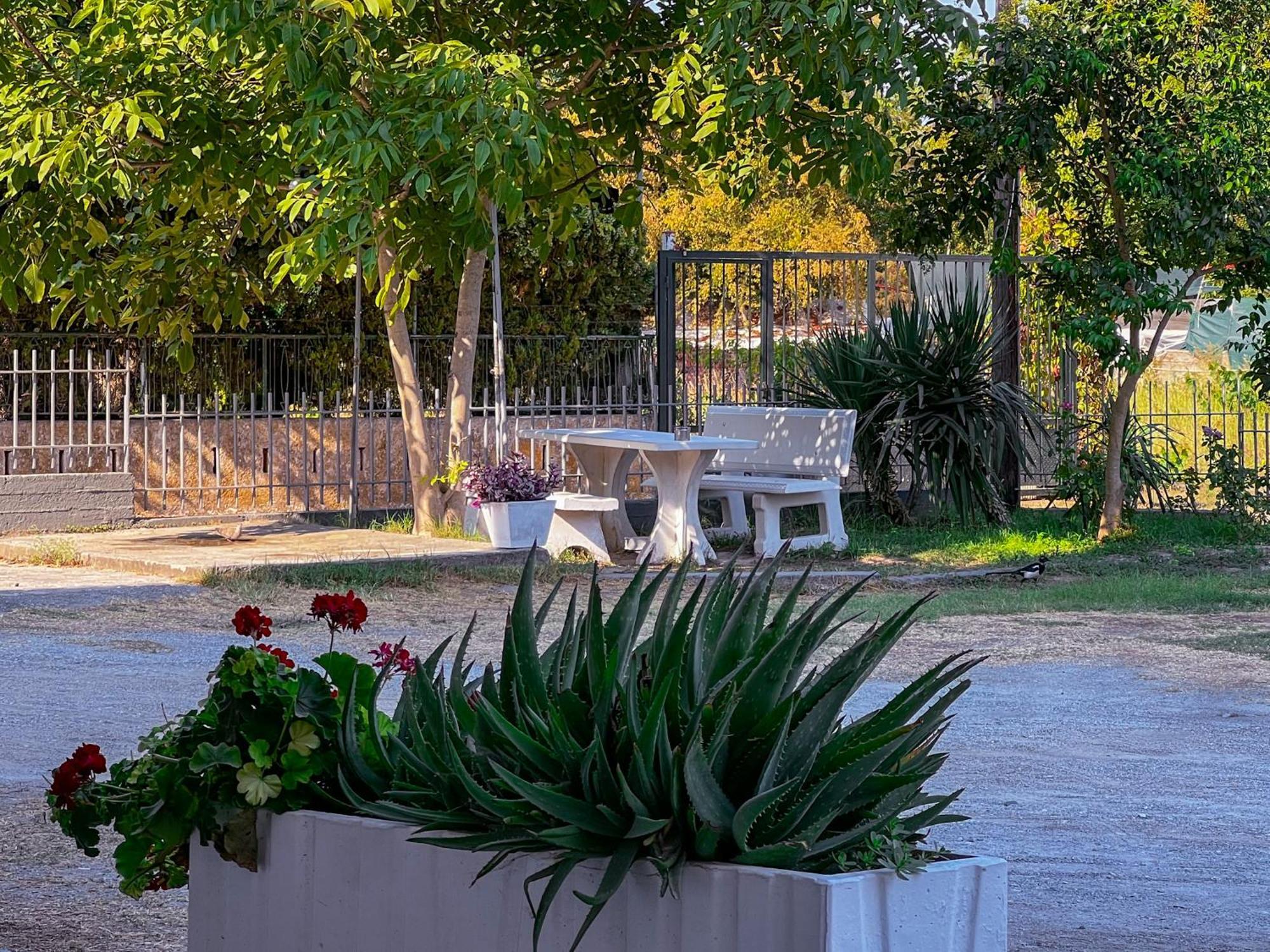 Prado Apartment Hotel Limin Litochorou Exterior photo